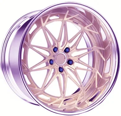 low price 18/19/20/21/22 Inches two pieces forged Wheels for 5*120 rims